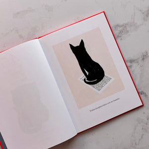 BRUNO GIBERT INFANTIL 45 VERDADES SOBRE LOS GATOS