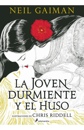 NEIL GAIMAN NOVELA LA JOVEN DURMIENTE Y EL HUSO, Venta de libros en Chile, envío gratis a todo Chile