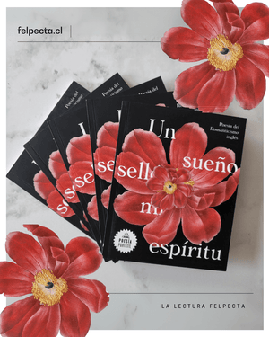 V.V.A.A POESÍA UN SUEÑO SELLO MI ESPÍRITU