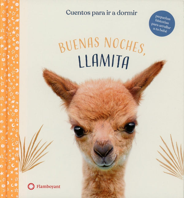 Amanda Wood INFANTIL BUENAS NOCHES LLAMITA