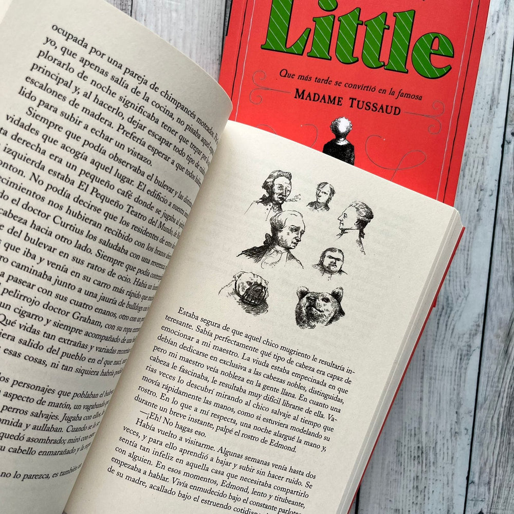 EDWARD CAREY NARRATIVA LITTLE