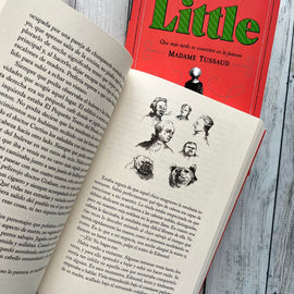 EDWARD CAREY NARRATIVA LITTLE