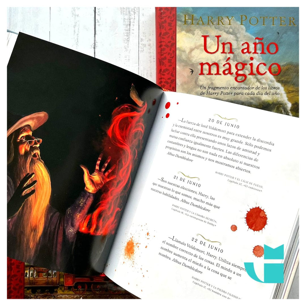 J. K. ROWLING INFANTIL HARRY POTTER: UN AÑO MÁGICO