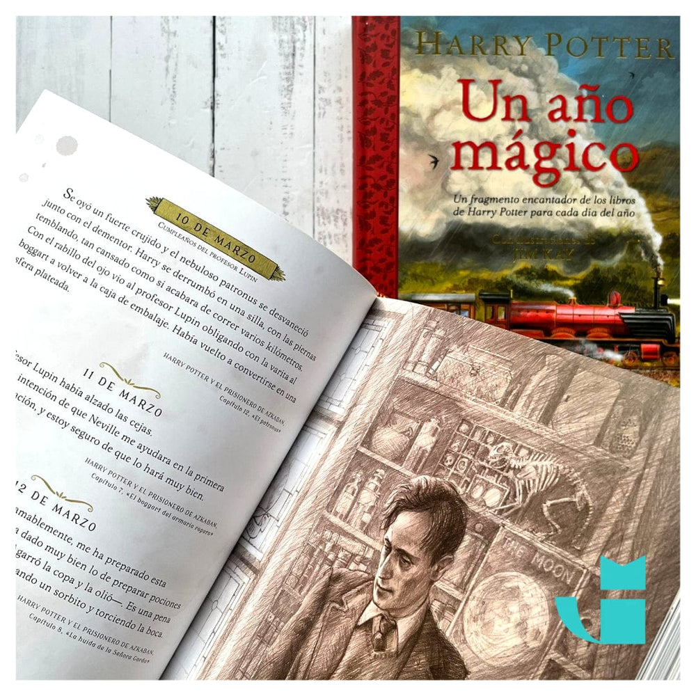 J. K. ROWLING INFANTIL HARRY POTTER: UN AÑO MÁGICO
