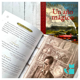J. K. ROWLING INFANTIL HARRY POTTER: UN AÑO MÁGICO