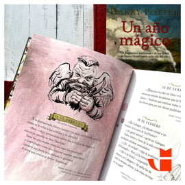 J. K. ROWLING INFANTIL HARRY POTTER: UN AÑO MÁGICO
