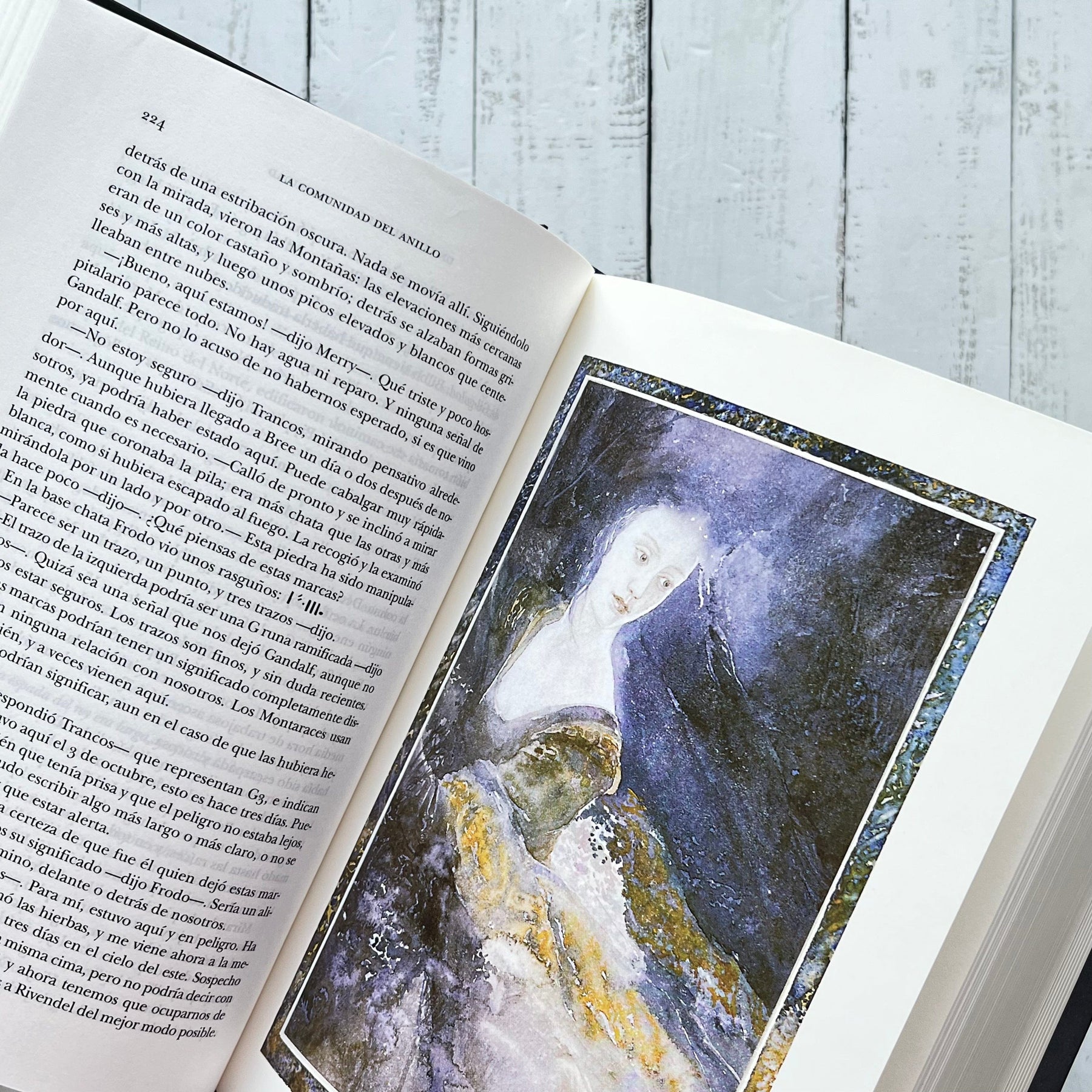 TRILOGIA EL SENOR DE LOS ANILLOS. ILUSTRADO POR ALAN LEE Felpecta Store