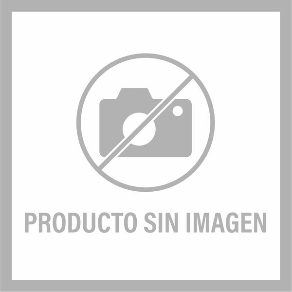 José Donoso NOVELA CORONACIÓN