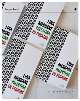 Lina Meruane ENSAYO PALESTINA EN PEDAZOS