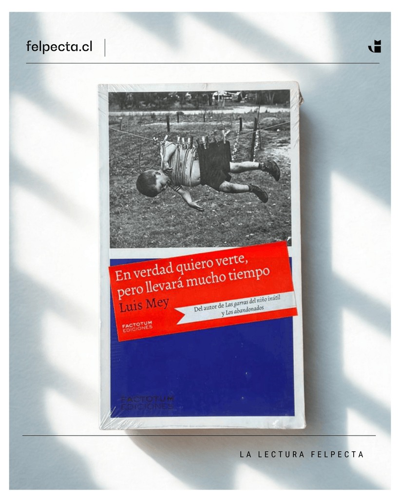 Luis Mey NOVELA EN VERDAD QUIERO VERTE PERO LLEVARÁ MUCHO TIEMPO (2DA.ED.)
