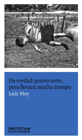 Luis Mey NOVELA EN VERDAD QUIERO VERTE PERO LLEVARÁ MUCHO TIEMPO (2DA.ED.)