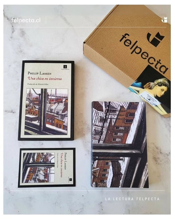 Philip Larkin NOVELA UNA CHICA EN INVIERNO LIBROS CHILE ENVÍO GRATIS