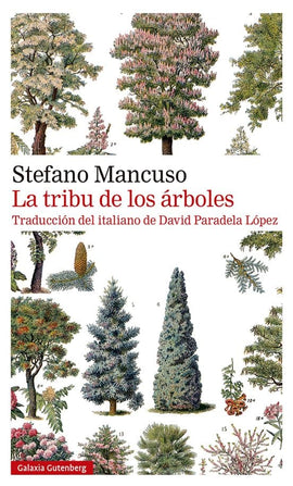 STEFANO MANCUSO NOVELA LA TRIBU DE LOS ARBOLES