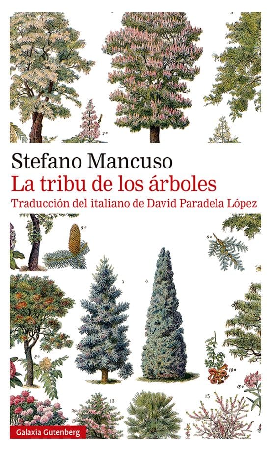 STEFANO MANCUSO NOVELA LA TRIBU DE LOS ARBOLES