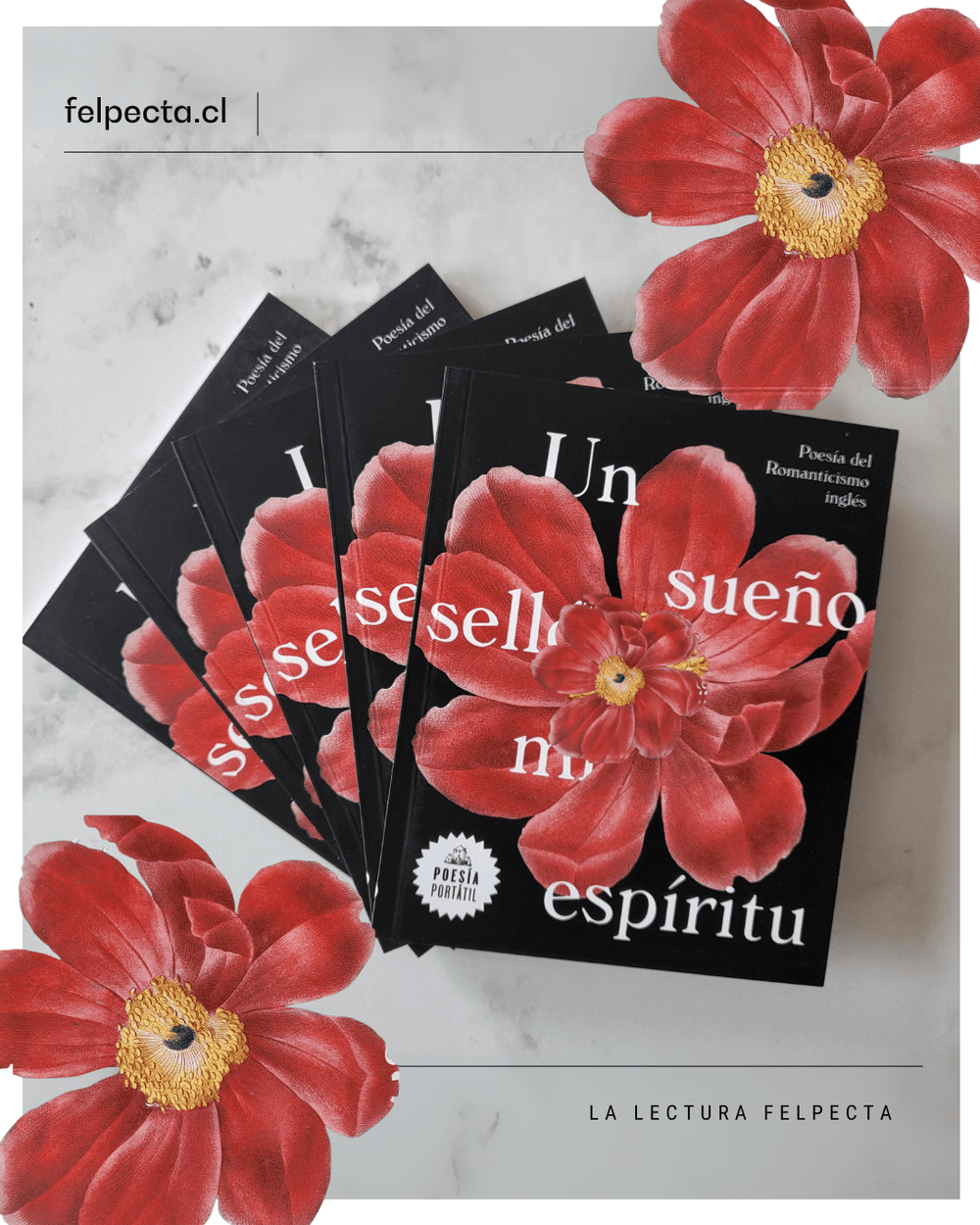 V.V.A.A POESÍA UN SUEÑO SELLO MI ESPÍRITU