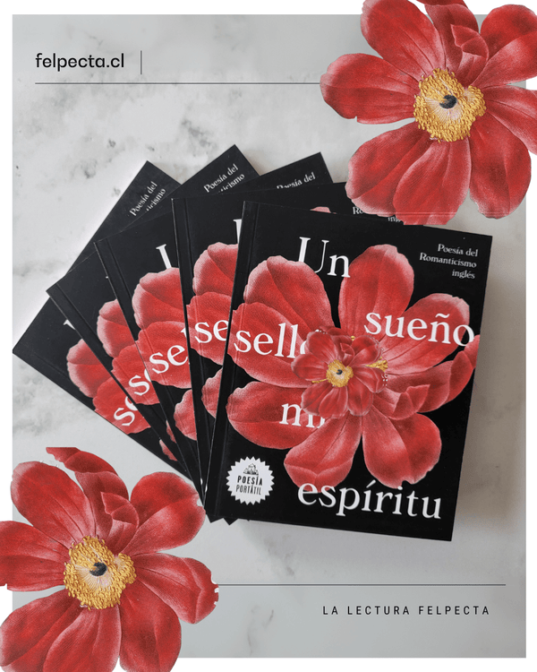V.V.A.A POESÍA UN SUEÑO SELLO MI ESPÍRITU