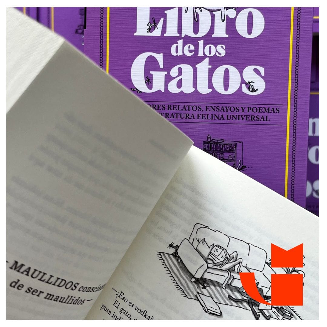 Libro CUADERNO DE LECTURAS – Felpecta Store