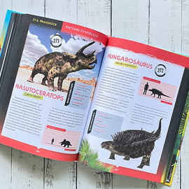 VV. AA. INFANTIL 365 DINOSAURIOS Y OTROS ANIMALES
