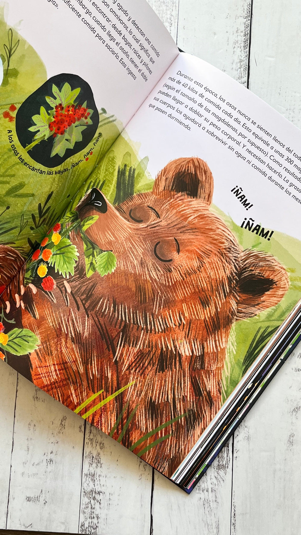 VV. AA. INFANTIL CUENTOS PARA LEER EN 5 MINUTOS