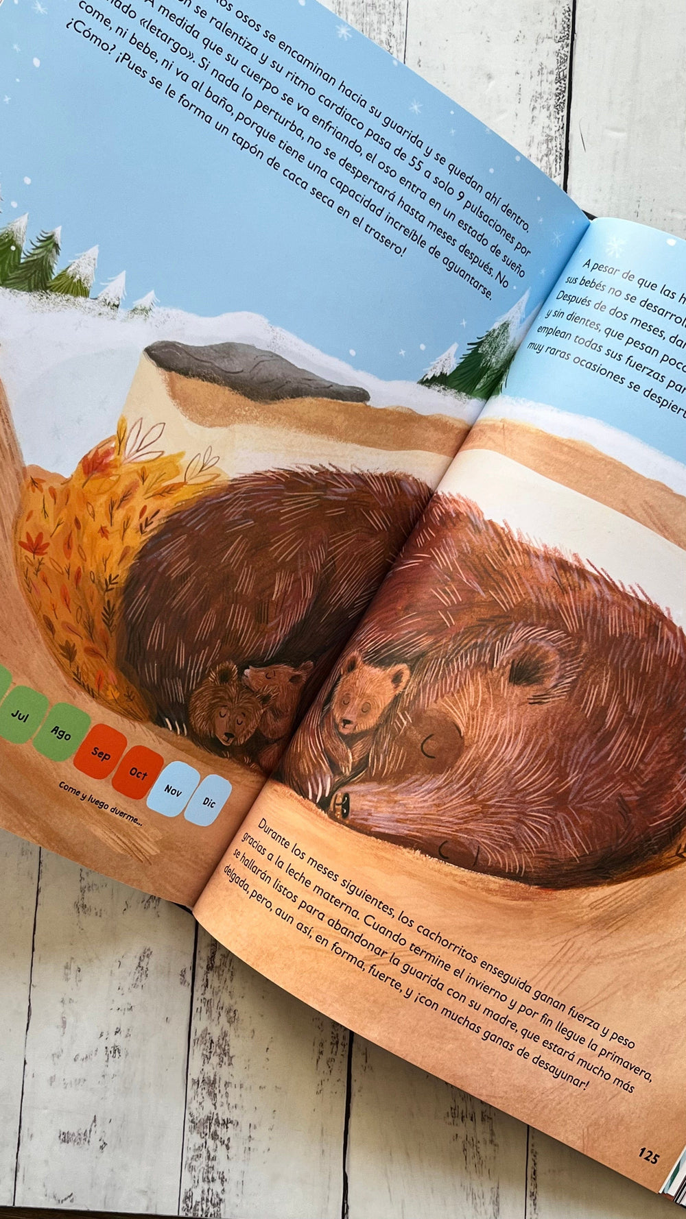 VV. AA. INFANTIL CUENTOS PARA LEER EN 5 MINUTOS