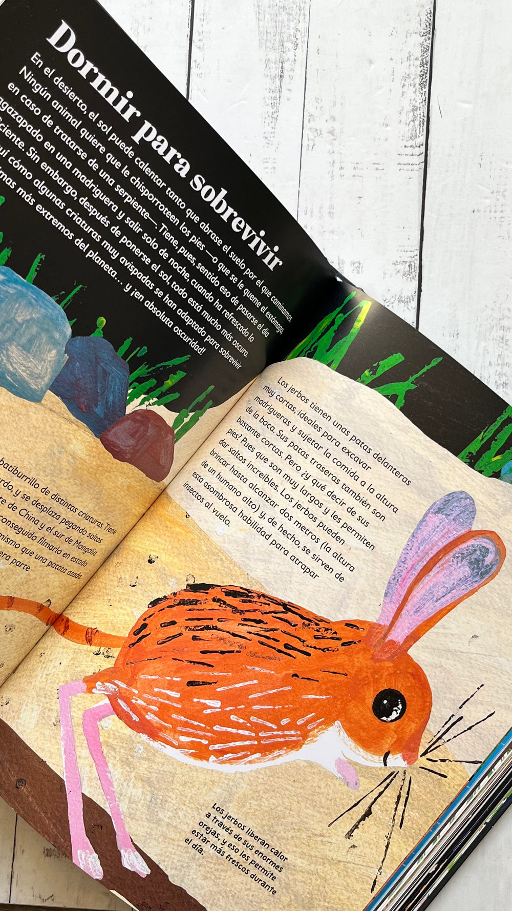 VV. AA. INFANTIL CUENTOS PARA LEER EN 5 MINUTOS